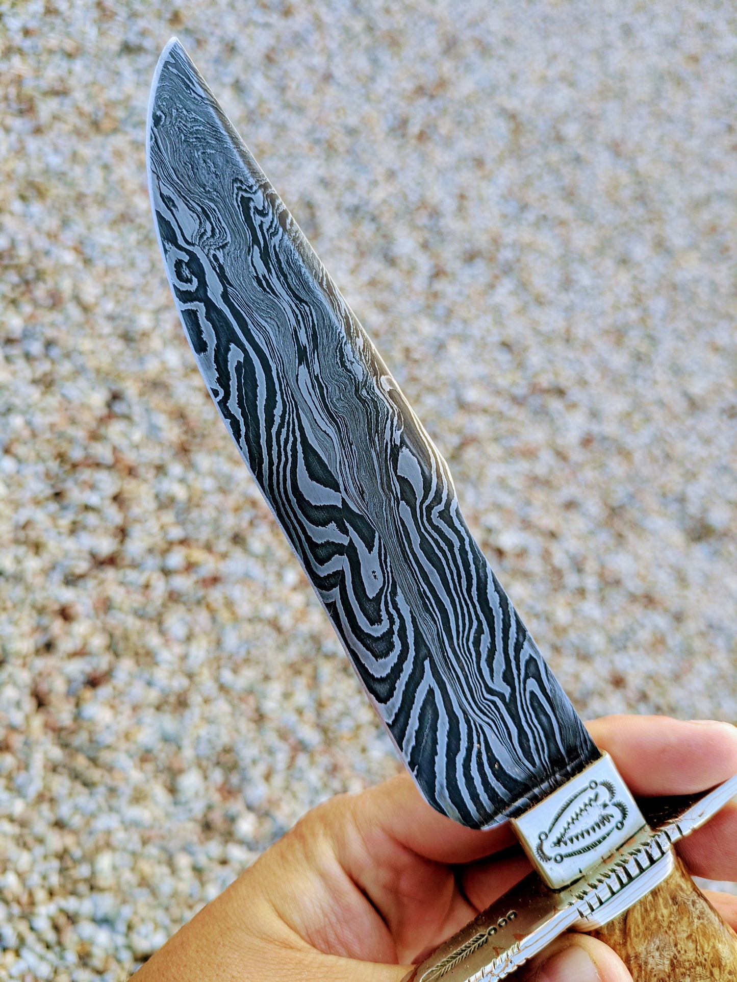 Reverse Feather Damascus Gentlemans Knife