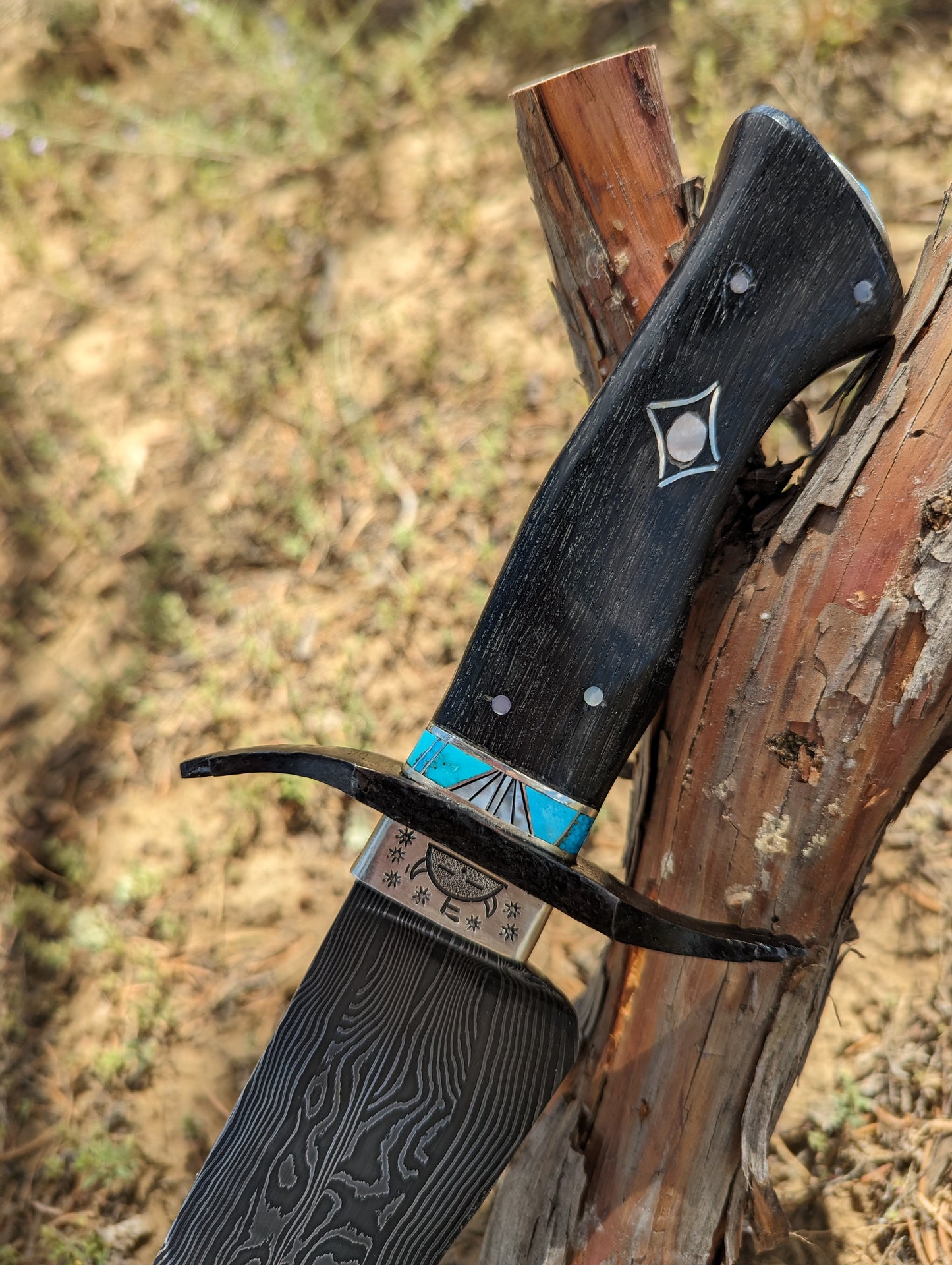 Ribbon winning Damascus Bowie