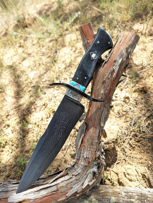 Ribbon winning Damascus Bowie