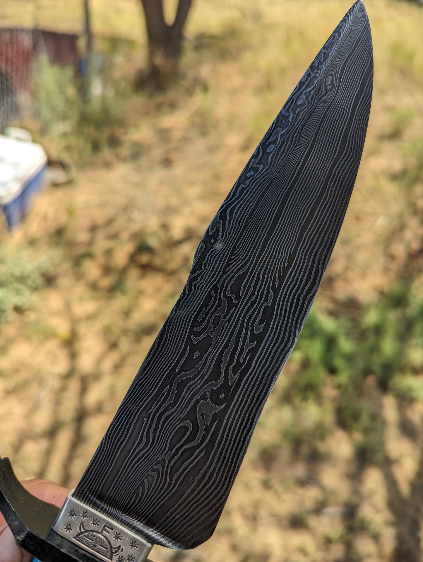 Ribbon winning Damascus Bowie